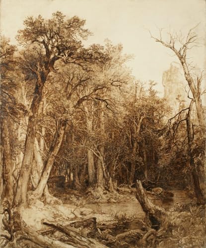 Peinture Huile Imprimée Forêt Vierge Toile Durand Décoration Murale