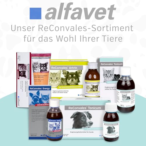 alfavet ReConvales Power, Doppelpack, Ergänzungsfuttermittel für Hunde und Katzen, Päppelpaste bei Untergewicht, Tube, 2 x 140 g