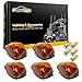 Partsam 5X Amber Cab Marker Roof Lights 264143AM+ 5X Amber T10 LED Lights Assembly Compatible with Ford E150 E250 E350 E350 E450 F150 F250 F350 F450 F550 1999-2016 Super Duty with Stock Cab Light
