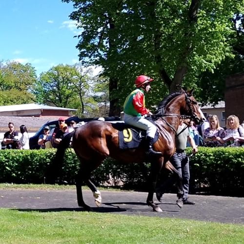 Jockeys in Aktion - Interview mit Champion Anna van den Troost