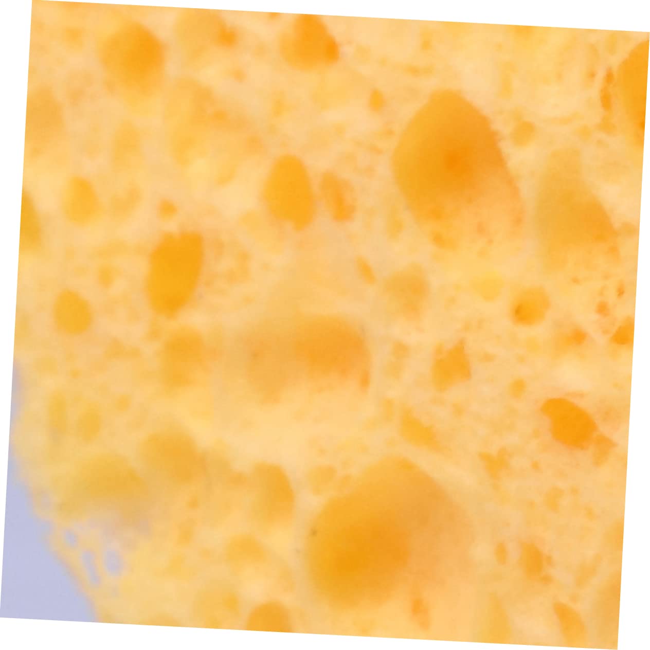 NULYLU Cotton Makeup Pads 20pcs Round Face Cleaning Puff Soft Sponge for Skin Care