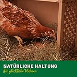 HÜHNER Land Stall Hygiene Spray, Desinfektion speziell für den Hühnerstall 1L für Hühner - Als Desinfektions-Reiniger für alle Flächen im Stall I Gegen Giardien, Pilze & Bakterien, Hygienespray