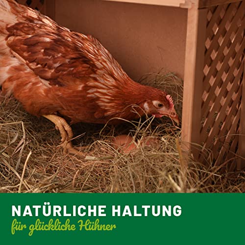 HÜHNER Land Milben Spray für Hühner XL Set 6 Liter inkl. Sprühflasche - Gegen Milben & Parasiten, Milbenspray Milbenmittel als Umgebungsspray zur Vorbeugung & bei akutem Befall