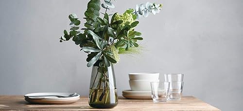 Miniatura 5 de KINTO 20846 Florero, base de cultivo acuático, 4.7 pulgadas (4.724 in), gris