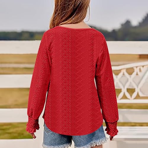 Girls Eyelet Long Sleeve Tops Dressy Casual Crewneck Hollow Out Crochet Lace Embroidered Shirts Blouses Fall Clothes 6-15T4