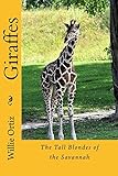 Giraffes: The Tall Blondes of the Savannah