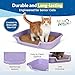 KittyGoHere Senior Cat Litter Box, Large Litter pan, Open Top Low Entrance Kitty Litter Box, Lightweight Low Entry Litters Box, Durable, Made in USA (Storybook Lavender)