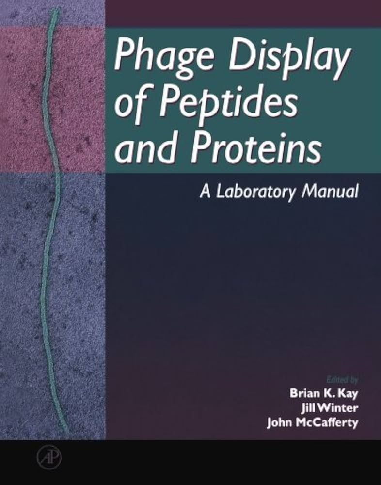 語学・辞書・学習参考書 Phage Display A Laboratory Manual Phage Display of Peptides and Proteins: A Laboratory Manual