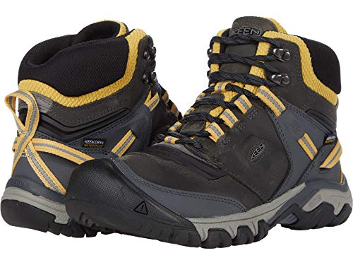 Chaussure de randonnée Homme KEEN Ridge Flex Mid imperméable et souple