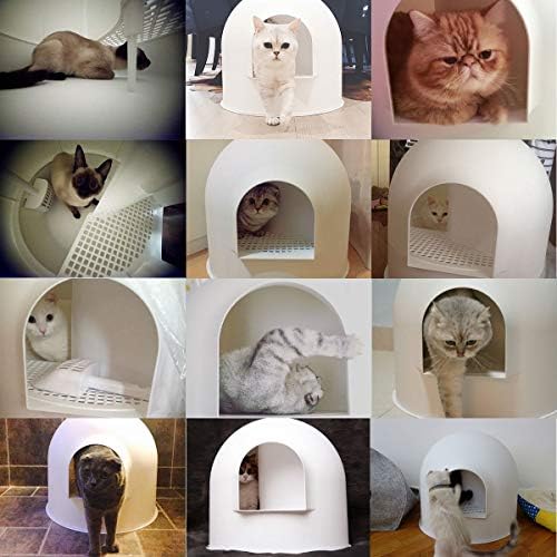 pidan cat igloo