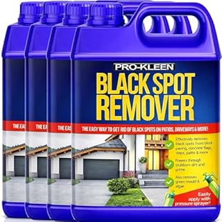 Pro-Kleen Powerful Black Spot Remover (20L) Removes Black Spots, Stains and Dirt - Liquid Cleaning Solution for Dirt and Grime, Use on Patios, Natural Stone, Indian Sandstone, Block Paving