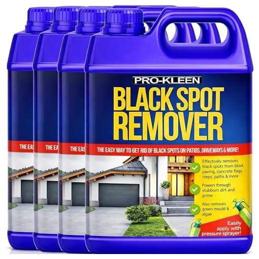Powerful Black Spot Remover for Outdoor Use