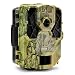 SPYPOINT FORCE-11D Ultra Compact Trail Camera 11MP HD Video w/ High Power LEDs, Blur Reduction & Infrared Boost Technology, 2" Viewing Screen, 0.07s Trigger Speed, 80' Detection & 100' Flash Range