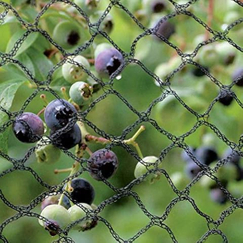 Tech-Garden - 4 m x 3 m - Anti Bird Netting Heavy Duty for Large Ponds Fruit Trees Crop Plants Vegetables & Bushes. Strong, Black Professional Grade Bird Proof Deterrent Prevention Mesh Cover