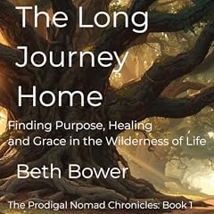 Couverture de The Long Journey Home