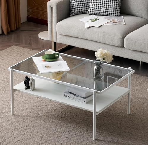 オーエスジェイ(OSJ) ガラステーブル ローテーブル 高級 二段収納 強化ガラス天板 収納付き おしゃれ センターテーブル おしゃれ 一人暮らし