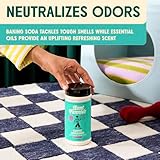 Aunt Fannie’s Carpet Refresher & Deodorizer Powder, Multi-Pu...