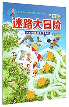 Paperback The Lost Adventure (Sky - Magic Mirror) [Chinese] Book