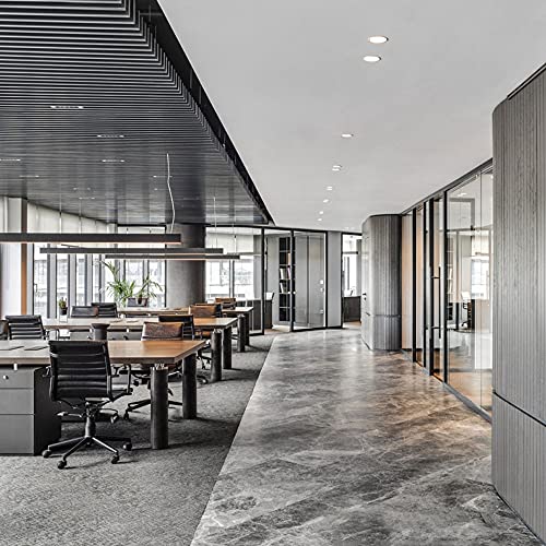Foco direccional LED empotrable de aluminio con luz de acento orientable 6