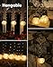Solar Lanterns Solar Lights Outdoor Waterproof 6-Pack, Solar Powered Hanging Lights Cracked Glass Hanging Globes for Christmas Decoration, Shepherd Hook, Garden Tree Ornaments