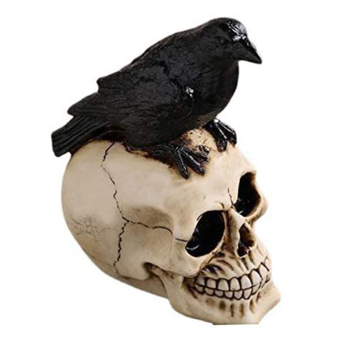 Wedhapy Resin Craft Statues Halloween Perched Raven On Skull Resin Crow Skeleton Figurine Skull Statue for Decor