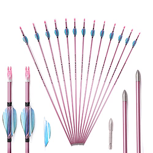 ACCMOS 12 Stück 27＂Bogenschießen Reinem Carbon Pfeile ID 4,2 mm Spine 1000 Jagdpfeil Rosa für Compoundbogen RecurveBogen Schießen (Spine 1000, 27 inch)