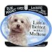 Prismatix Decal Cat and Dog Magnets, Maltese