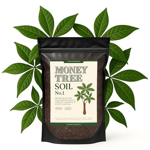 Premium Money Tree Soil – Organic, Nutrient-Rich, Optimal-Draining Potting Mix