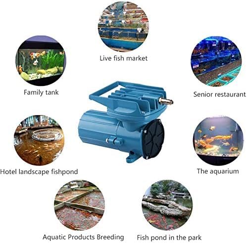Bomba De Aire para Acuario, Compresor De Aire De 12 V CC, Aireador De Bomba De Aire Eficiente, Bomba De Oxígeno para Acuicultura para Estanque De Tanque De Acuario De Peces,MPQ 904,Constructive23