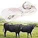 Cattle Measuring Tool, Cattle Tape, Easy to Carry for Cattle