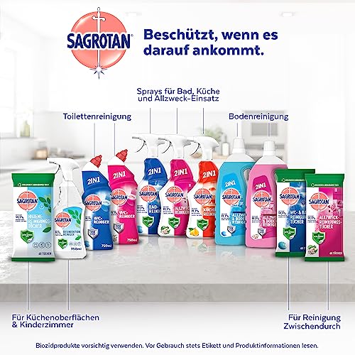 Sagrotan Allzweck-Reinigungstücher Blütenfrische und grüner Apfel, gegen 99,9% der Bakterien, 6er Pack (6 x 60 Stück)