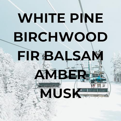 Image of Car Air Freshener - Premium Car Hanging Air Freshener, Long-Lasting Fragrance for Auto and Home (0.2 Fl Oz (Pack of 1), Ski Trip - White Pine, Birchwood, Fir Balsam, Amber, Musk)