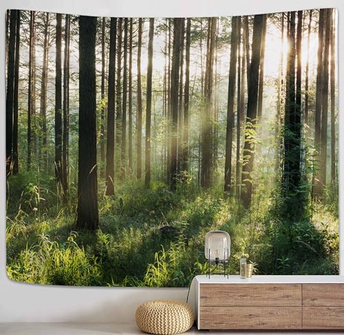 PROCIDA Forest Tree Tapestry Wall Hanging Nature Tapestry Forest Backdrop for Bedroom Living Room College Dorm Aesthetic Decoration, 90