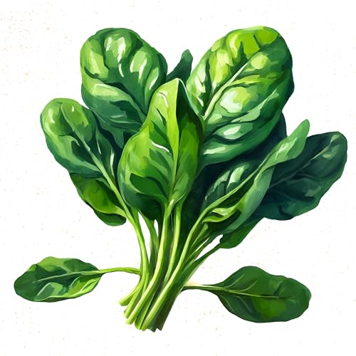 ZenGreens® - Bio Spinat Samen - Spinatsamen - Gemüsesamen für den einfachen Anbau im Garten, Balkon oder Hochbeet - Gemüse Saatgut - Matador