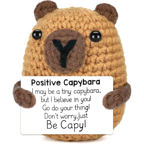 Mothers Day Cute Gifts for Mom, Positive Handmade Capybara Stuff, Emotional Support Crochet Inspirational Animal Home Decor, White Elephant Birthday Gifts for Women Men Friend Teacher Coworker Boss