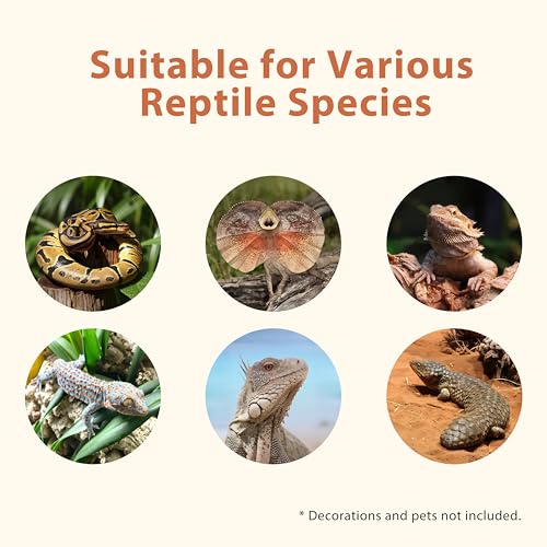 Image of 4x2x2 (120 Gallon) PVC Reptile Enclosure, RepWild Terrarium /Tank with Heavy-Duty Screen Top, Glass Sliding Doors & Lock for Bearded Dragons, Ball Python, Geckos, Lizards