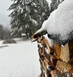 Review Image by Blaise Blaise