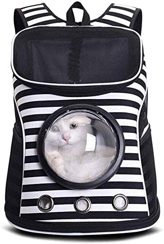 target pet carrier