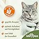 Ida Plus Optipoo Prodigest Mini Sticks - bei Darmsanierung für Katzen - Anti Hairball für Katze - leckere Katzen Snacks - Unterstützt den Katze Darm - Anti Haarballen bei Katzen Fell Pflege - 80 STK
