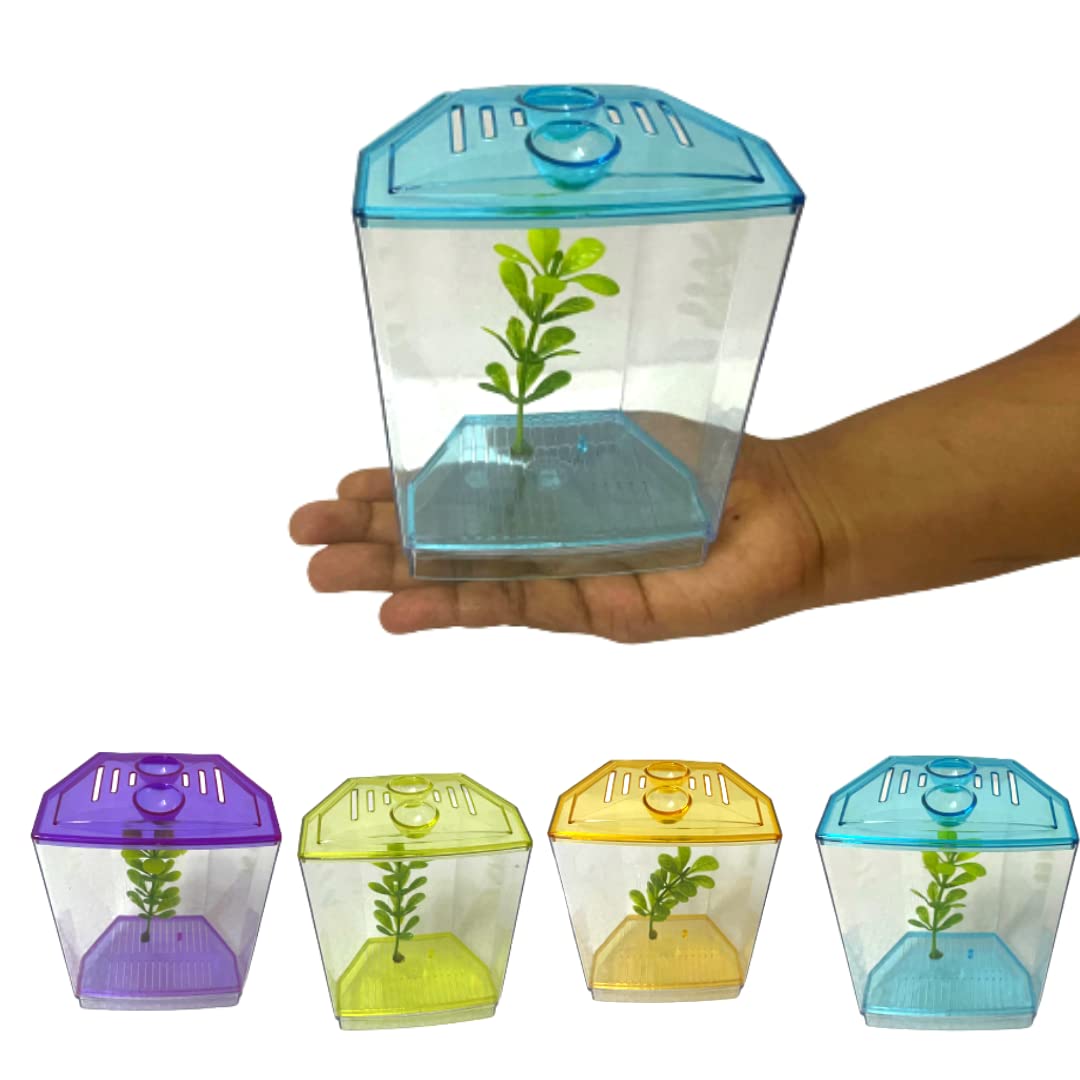 KSH Store- Single beta House Fish Tank Aquarium Isolation Box for Fighter Fish, Guppy Size(14 cm x 7 cm x 11 cm) (Betta House Single) Colour May Vary 1