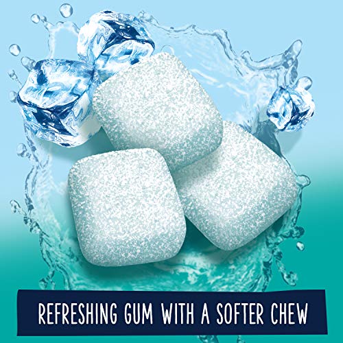 Polar Ice Chewing Gum 40 Count - Image 2