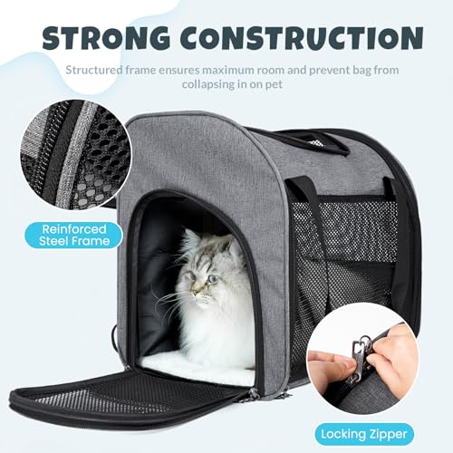 katzenrucksack mit Fenster, Faltbarer Hunderucksack, Haustier Tragetasche für bis 8 kg Hunde und Katzen