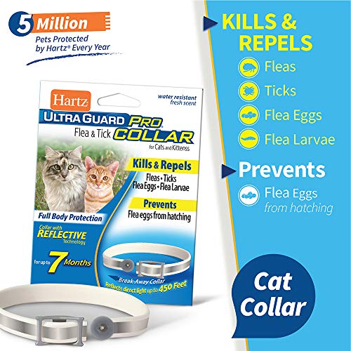 Hartz UltraGuard Pro Flea & Tick Collar for Cats and Kittens, 7 Month Flea and Tick Prevention and Protection, 1 Collar - Thumbnail 2