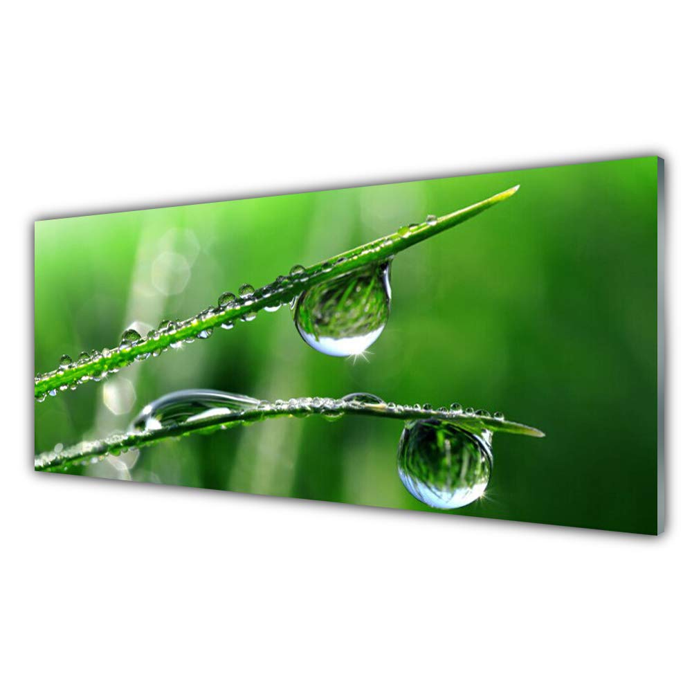 Tableau déco mural herbe de rosée en verre acrylique pour salon lumineux