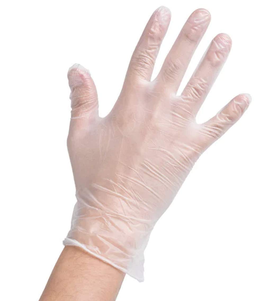 100 Pcs Noble Products Disposable Vinyl Gloves Powder Free Clear Gloves for Cleaning Cooking Beauty Dishwashing Transparent (Large)