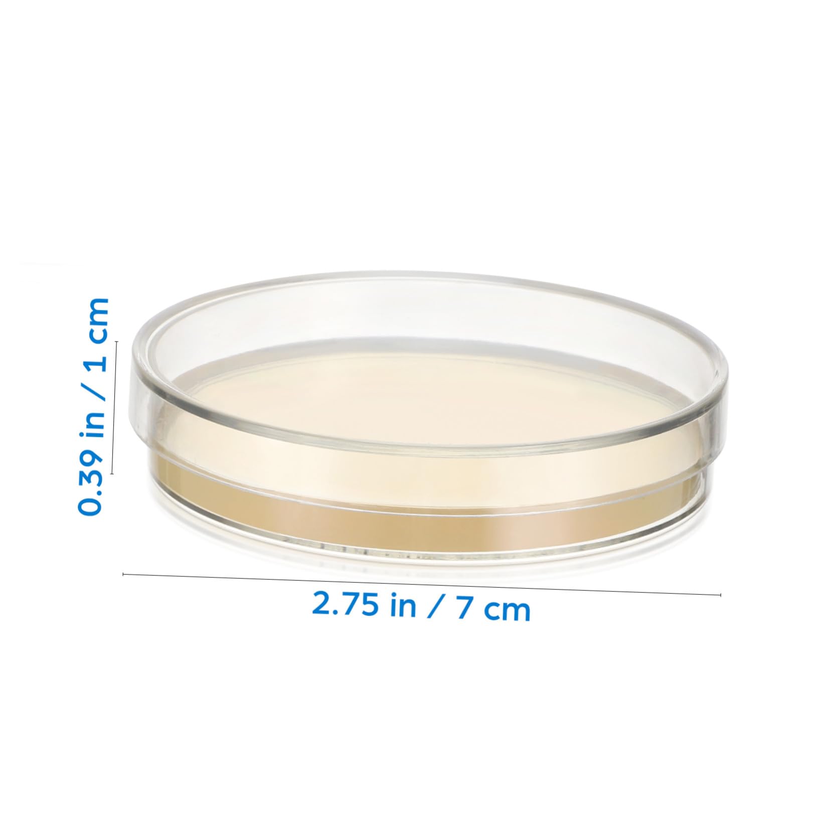 Vorgegossene Agarplatten 20 Stück für Wissenschaftliche Experimente | Laborbedarf im 7-cm Format, Einfache Handhabung, für Schule und Laboranwendung