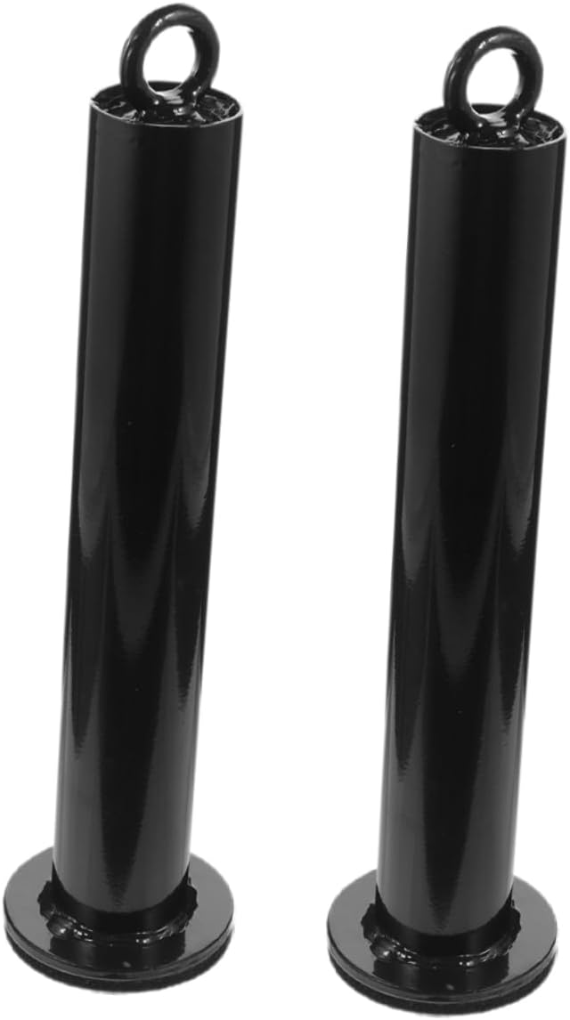 ERINGOGO 2Pcs Gym Weight Plate Rack with Loading Pin Space Saving Barbell Holder for Fitness Pulley Versatile Weight Training Tool for Home Commercial Use Durable High Load Capacity