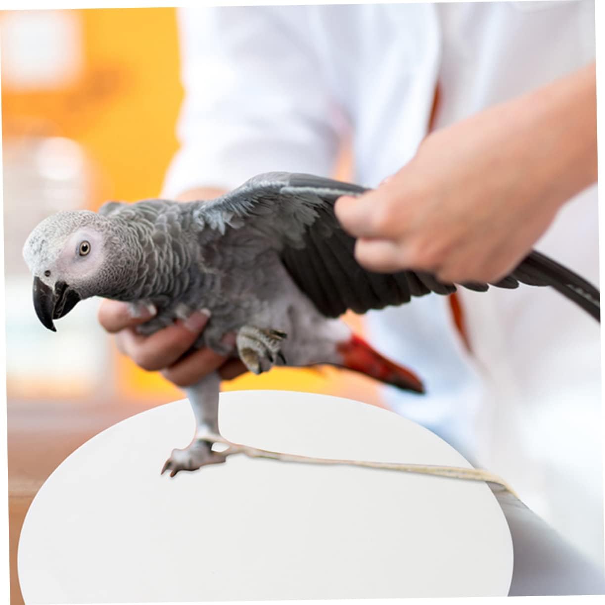 Toyvian 100pcs Bird Cage Liner Sheets Non-Woven Absorbent Pads for Parrots Easy to Use Keeps Cage Clean and Healthy