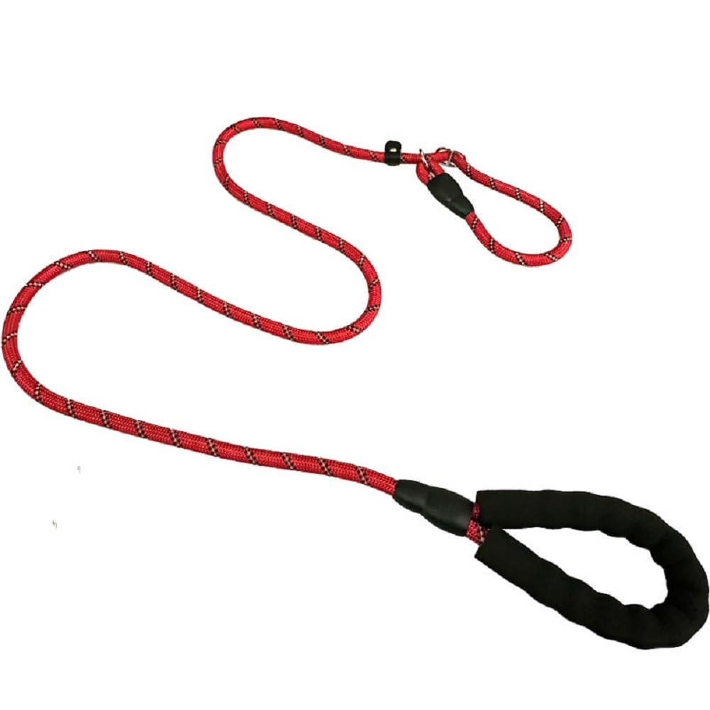 Laisse pour chien de taille moyenne et grande idéale pour les balades confortables