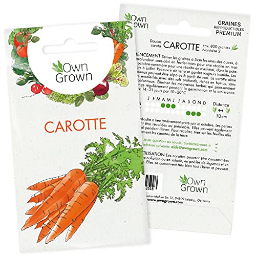 Graines de carotte (Daucus carota), graines de carotte à cultiver OwnGrown, graines pour environ 800 plants de la variété Nantaise 2